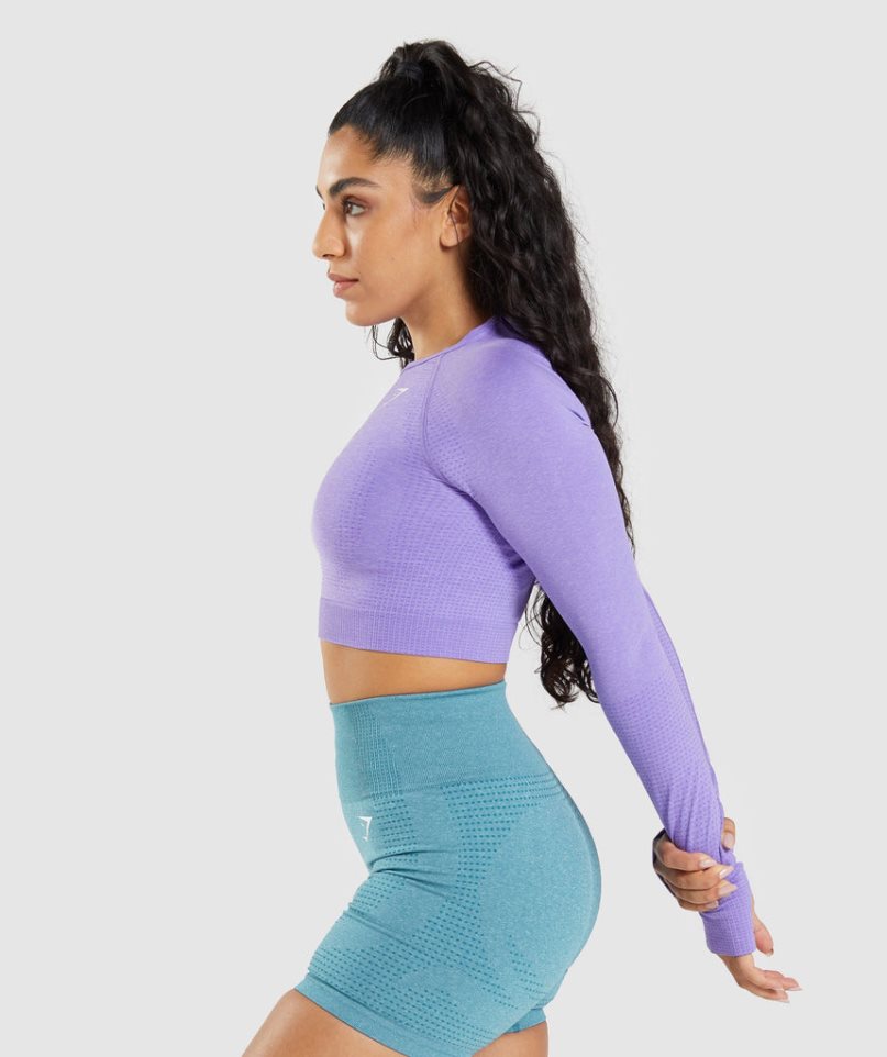 Women's Gymshark Vital Seamless 2.0 Long Sleeve Cropped Tops Lavender | CA 7A5016